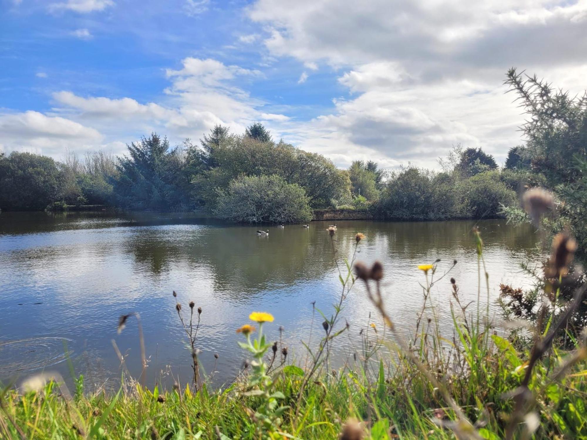 Lakeside Glamping Firecrest * St Columb Major