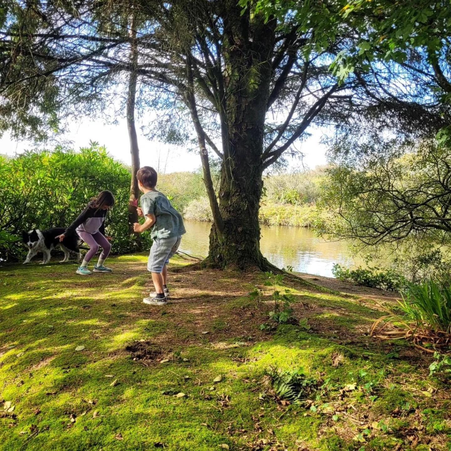 Lakeside Glamping Firecrest Luxury tent St Columb Major