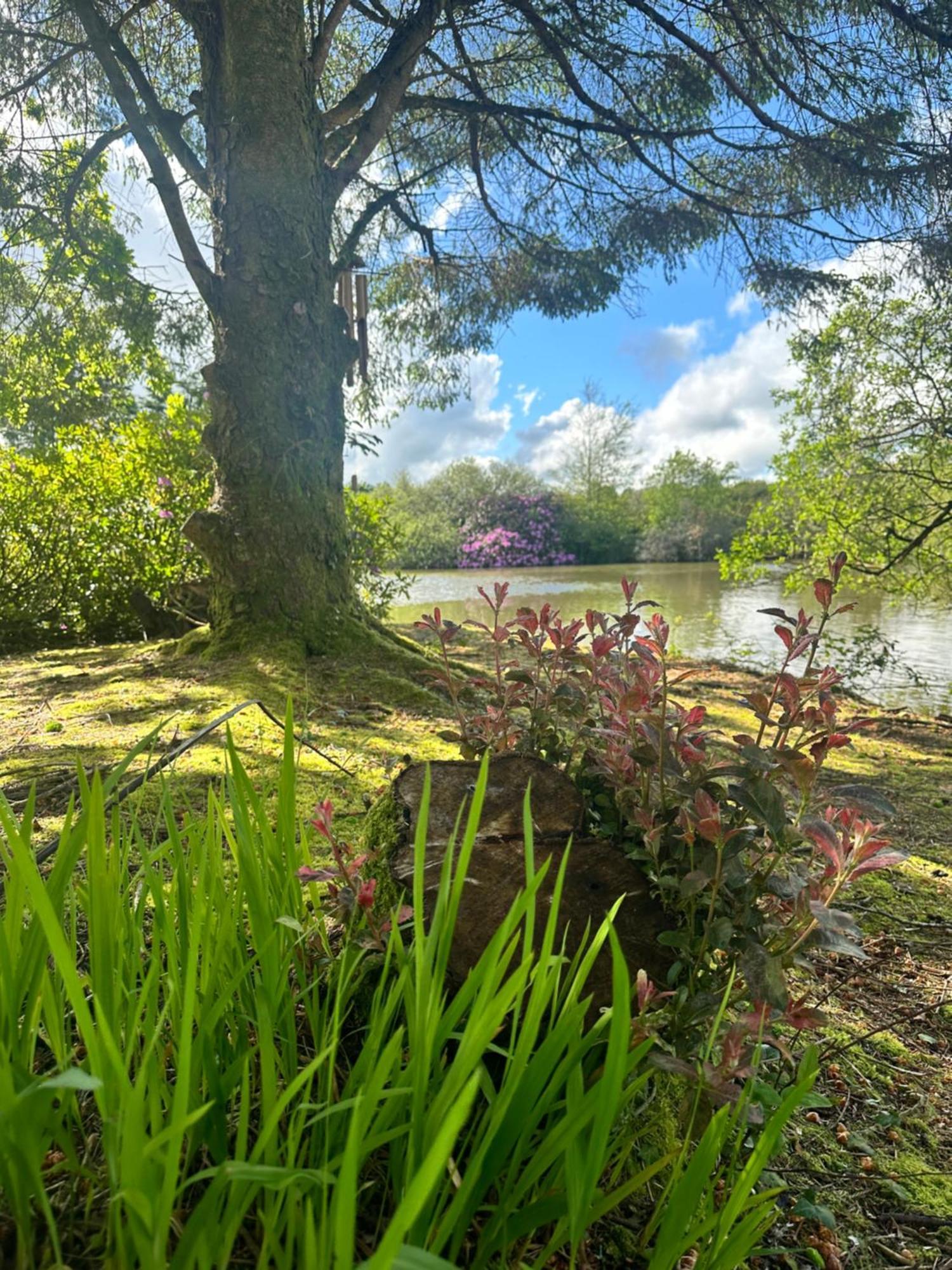 Lakeside Glamping Firecrest