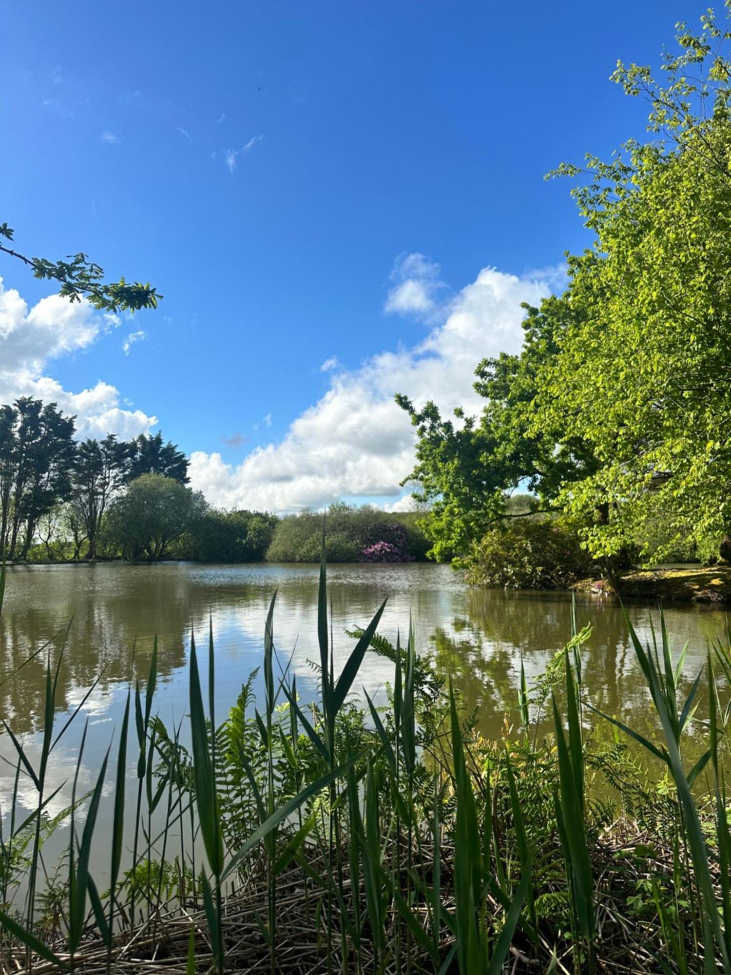 Lakeside Glamping Firecrest Luxury tent *