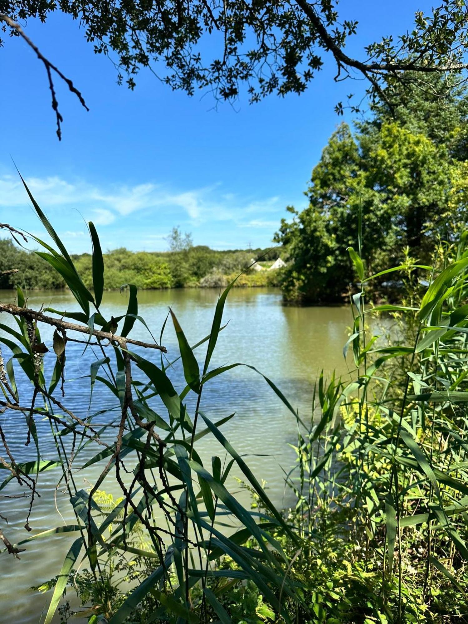 Lakeside Glamping Firecrest * St Columb Major